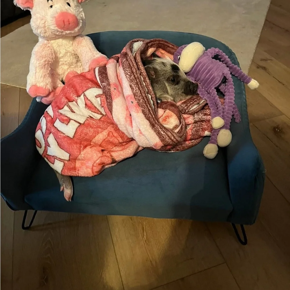 Cozy Pink Dog Blanket